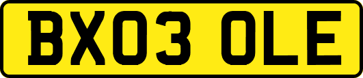 BX03OLE