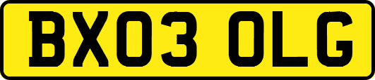 BX03OLG