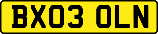 BX03OLN
