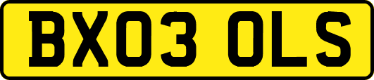 BX03OLS