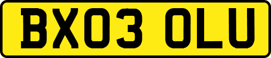 BX03OLU