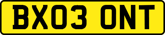 BX03ONT