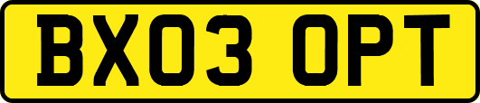 BX03OPT