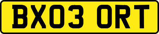 BX03ORT