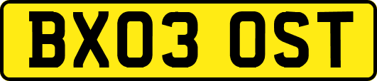 BX03OST