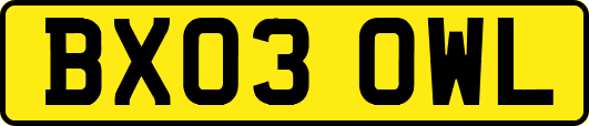 BX03OWL