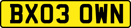 BX03OWN