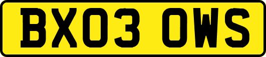 BX03OWS