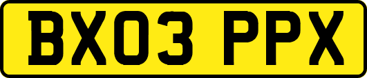 BX03PPX