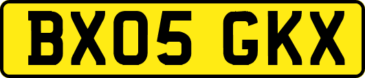 BX05GKX