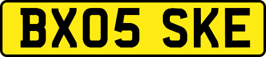 BX05SKE