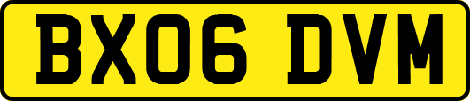 BX06DVM