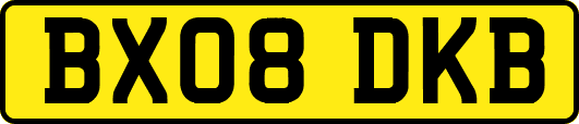 BX08DKB