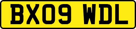 BX09WDL