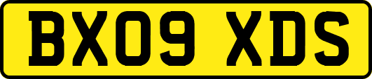 BX09XDS