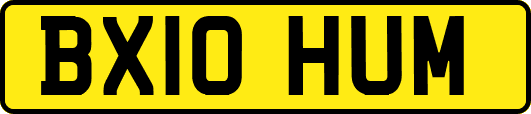 BX10HUM