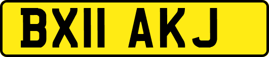 BX11AKJ