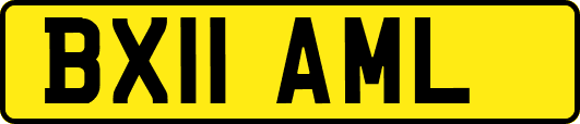 BX11AML