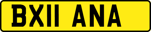 BX11ANA