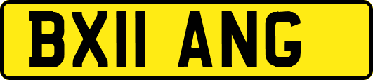 BX11ANG