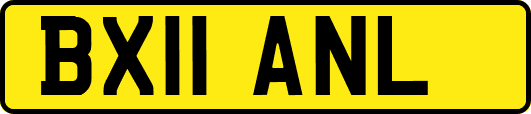 BX11ANL