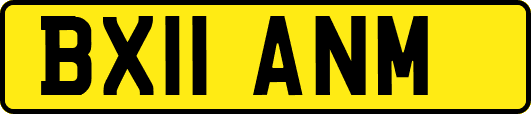 BX11ANM