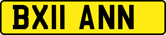 BX11ANN