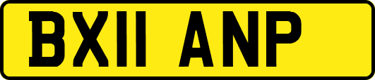 BX11ANP