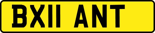 BX11ANT