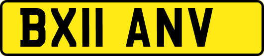 BX11ANV