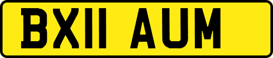 BX11AUM