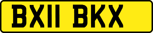 BX11BKX