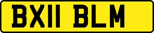 BX11BLM