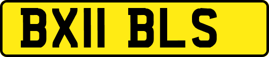 BX11BLS