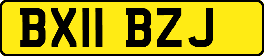 BX11BZJ