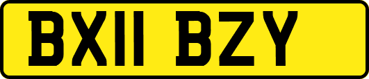 BX11BZY