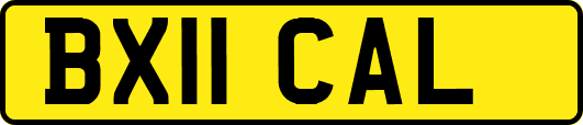 BX11CAL