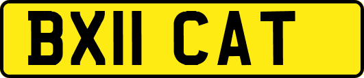 BX11CAT