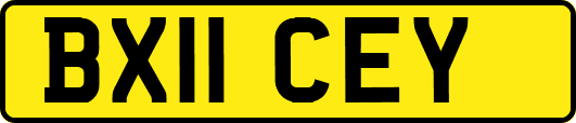 BX11CEY
