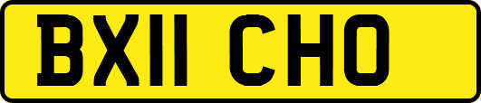 BX11CHO