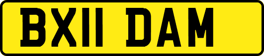 BX11DAM