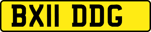 BX11DDG