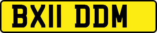 BX11DDM