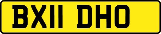 BX11DHO