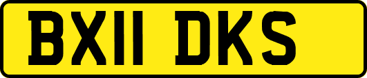 BX11DKS