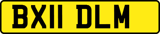 BX11DLM