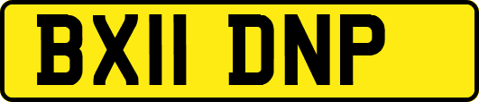 BX11DNP