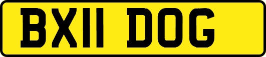 BX11DOG