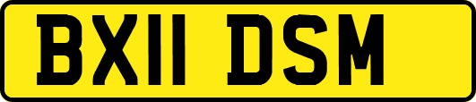 BX11DSM