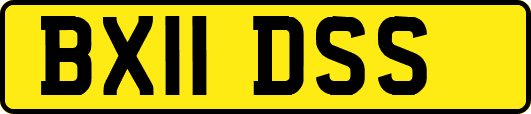 BX11DSS